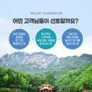 서해항공여행사