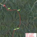 임학주유소 이미지