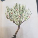 북경백침당한의원 이미지