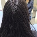 에비뉴1661 이미지