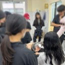 김지순애견미용학원 이미지