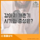 사바나동물병원 이미지