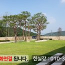 분당수목장 이미지
