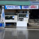 속천수산 | 진해 경화동 회맛집 '속천수산' 전어회 포장후기