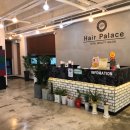 헤어펠리스 이미지