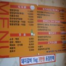 코기조은집 이미지