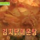 서포리아 티스토리