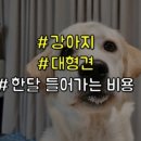 송정동물의료센터 이미지