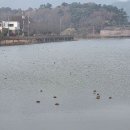 풍전 | 충남 서산 또간집 겨울 보양식 풍전뚝집 어죽 웨이팅 후기