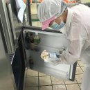 (학교)영동초 이미지