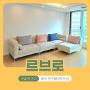 [포토후기] 르브로 에코 캣츠 패브릭쇼파 구매 후기