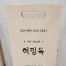 허밍독 이미지