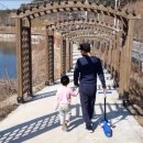 태화연 야영장 2 이미지