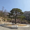 테마정원 | 화담숲 봄 산책 후기, 테마정원 따라 천천히 걷기 좋은 힐링 명소