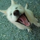 더주세요 이미지