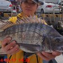 영등라인1 이미지