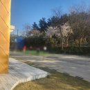 바코드펜션D 이미지