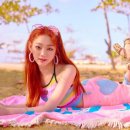 구구단 세미나 카카오 검색결과