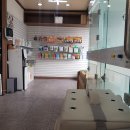 유성구 어은동 퍼니펫 동물병원, 고양이 구강엑스레이 찍을 수 있는 곳