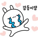 안경콘택트바오신림점 이미지