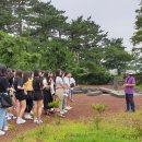 평화3길 이미지