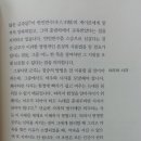 비르투&포르투나