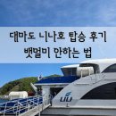 대마도 배편 니나호 탑승후기 멀미 안하는 법