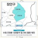 인사이트넷 | 수원 조원동 마케팅 및 업종별(요식업, 맛집, 술집) 상권 분석