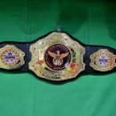 MVP합기도 이미지