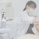 트리비에스테틱