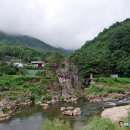 평창강가에서 | 잊혀진 전쟁의 상처를 감싸 안은 강원도 평창 덕수산, 장미산(2024.9.7)