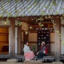 (주)여행과나무 이미지