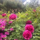 0420-0422 이력서에 허덕인 한 주 (+ 생글생글 후기)