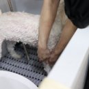 원사랑미용실 네이버블로그