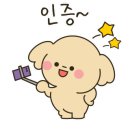 글리아이 이미지