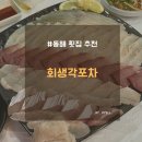 동해 횟집 회생각포차 현지인 맛집 추천 가성비 좋은 횟집 솔직후기