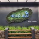 혼저옵서멍 | 나의 제주일기⛰️