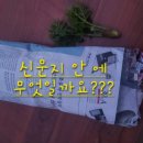 배준농장 이미지