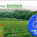 당조 이미지