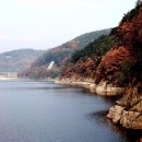 창녕 남지 개비리 이미지