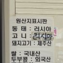 2016044 | 건입동 동태찌개 맛집, 제주 안전식당 포장, 주차, 운영시간 후기