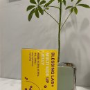 까탈스런 엄마집밥 | 함량 높은 젤리 타입 어린이 아연 영양제: 멀티키즈업 젤리