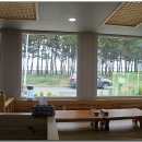 솔밭칼국수