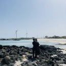 제주김녕한달 이미지