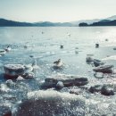 서구청 옥상생태공원 이미지