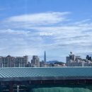 3편) 급성맹장염 수술후기(급성충수염) | 수술, 퇴원, 맹장수술 후 약 먹는 동안 먹은 모든음식 그리고...