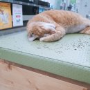 준영메디컬 이미지