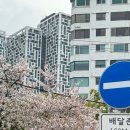 야장의 계절 봄이야
