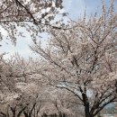 굿모닝 병원 이미지