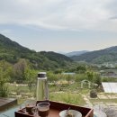 리틀 아쉬람 이미지